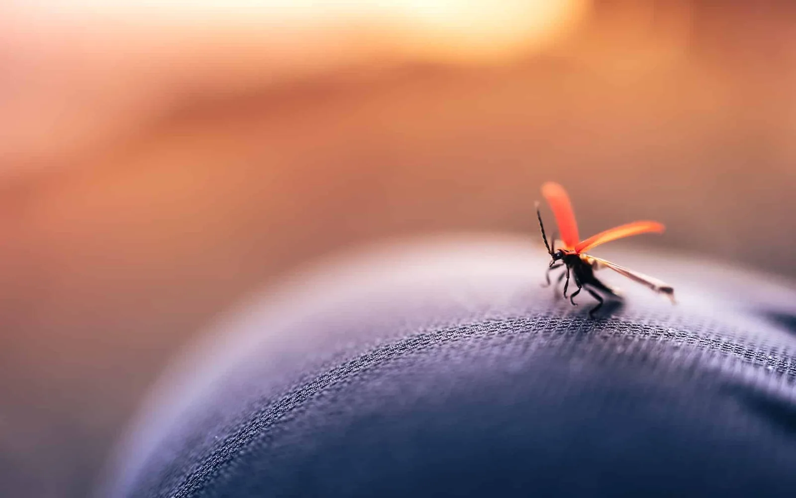 Femme assise sur une terrasse d’été, protégée des insectes par un ventilateur et des vêtements couvrants légers.
